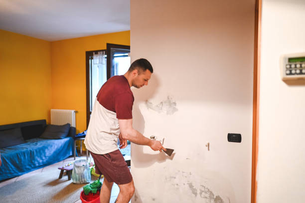 Best Insurance-Related Mold Remediation in South Henderson, NC